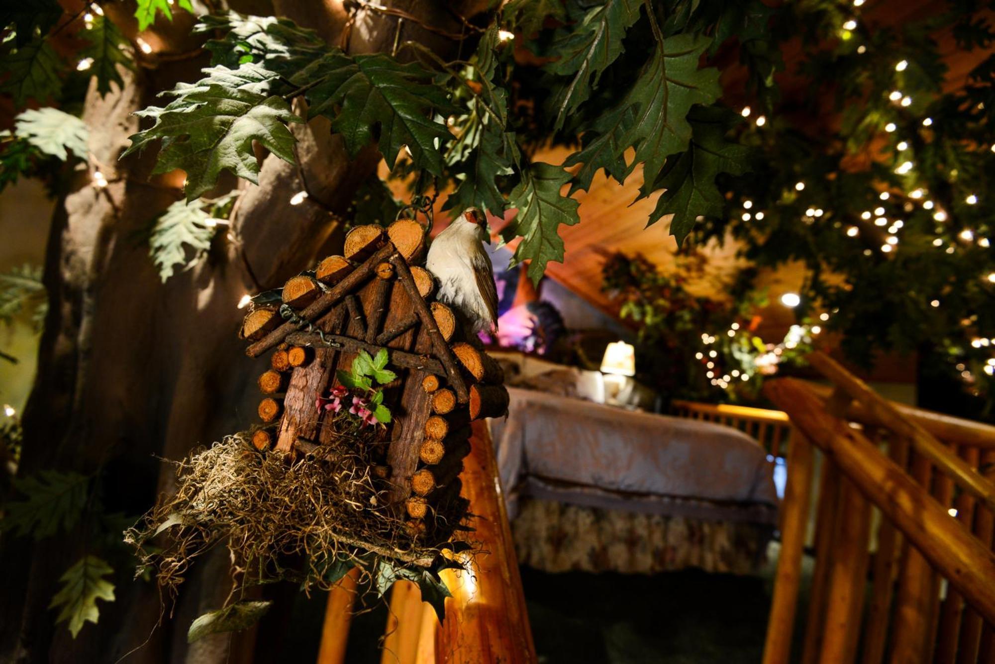 Hotel Castle Wood Theme Cottages- Couples Only